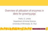 Dr. Pedro Urriola - Overview Of Enzymes
