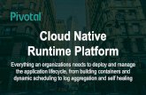 Cloud Native Runtime Platform