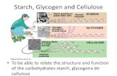 Lesson 3 starch, glycogen and cellulose