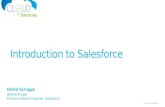 Mds cloud saturday 2015 salesforce intro