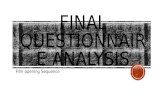 Final questionnaire analysis