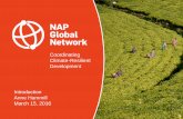 Introduction: Why Focus on Financing Implementation of NAPs?