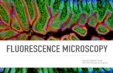 Fluorescence microscopy introduction