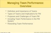 Managing Team Performance {Lecture Notes}