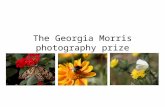 The georgia morris photography prize
