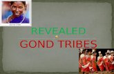 The Gonds Tribe