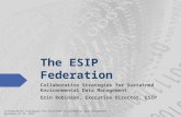 The ESIP Federation: Collaborative Strategies for Sustained Environmental Data Management