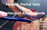 Hepatic Portal vein and portocaval anatomosis