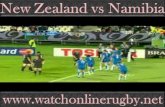 Watching New Zealand vs Namibia HD Stream