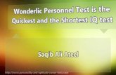 Wonderlic Personnel Test and its partiuclarities