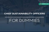 Chief Sustainability Officers for Dummies | What You Need To Know In 15 Slides