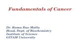 Fundamentals of cancer -  latest update