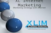 XLIM Online Marketing Strategy