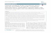 Capsular profiling of the Cronobacter genus and the association of specific C. sakazakii and C. malonaticus capsule types with neonatal meningitis and necrotizing enterocolitis