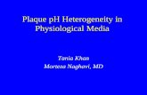 167 plaque p h heterogeneity in physiological media