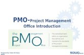 PMO-Project Management Office Introduction