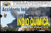 Indio química accidente industrial mayor burzaco_alte brown 22.12.2013
