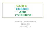 Cube, cuboid and cylinder
