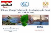 Climate change vulnerability and adaptation in Egygpt and NAP process