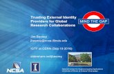 Trusting External Identity Providers for Global Research Collaborations