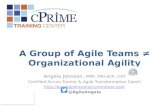 cPrime - Achieving Organizational Agility