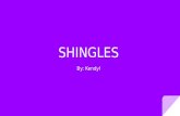Shingles: mini project