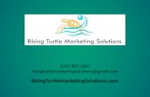 Rising Turtle Marketing Solutions Marketing Budget PowerPoint
