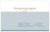Steganography and its techniques