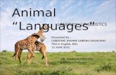 Linguistics Animal Languages