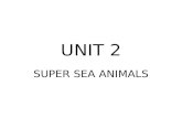 Super sea animals