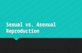L.HE.M.2 Asexual vs Sexual Reproduction