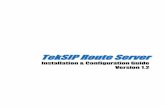 TekSIP Route Server Manual