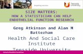 Size matters: How a statistician can help endothelial function research