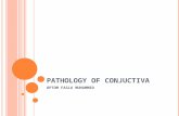 Pathology of conjuctiva