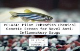 Zebrafish Chemical Screen for novel anti-inflammatory drugs - a phenotype-based approach.