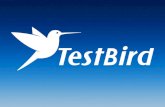 How TestBird can help you go to china