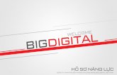 Bigdigital Agency Profile 2015
