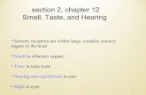 section 2, chapter 12: smell, taste, hearing