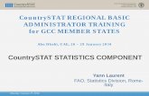 "CountrySTAT REGIONAL BASIC ADMINISTRATOR TRAINING for GCC MEMBER STATES/ CountrySTAT STATISTICS COMPONENT"
