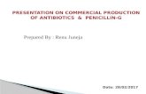 Penicillin g production
