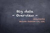 Big data (overview)  - (MOSG)