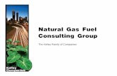 Natural Gas Fuel Consulting Group