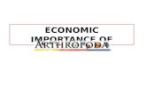 Economic importance of arthopoda