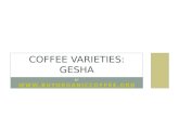 Coffee Varieties Gesha