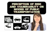 Risk perception pdf