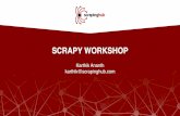 Scrapy workshop