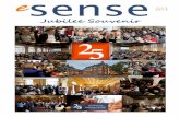 Out Now! eSense 25th Jubilee Souvenir
