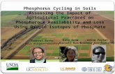 Assessing The Impact Of Agricultural Practices On Phosphorous Availability And Loss Using Oxygen Isotopes Of Phosphate In Soil