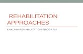 Rehabilitation approaches