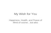 What I Wish For U